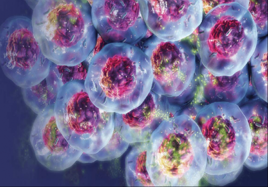 Cell Culture â€“ A Doorway to Infinitesimal Possibilities in Healthcare