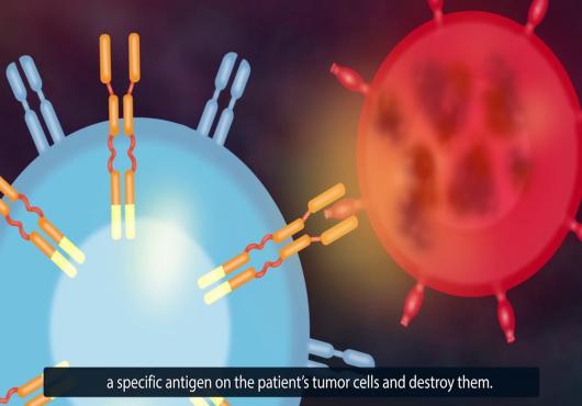 CAR T Cell Therapy- Autologous Cancer Therapeutic Combating Toxicity