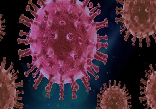 Coronavirus-19 - King of the battles against all pandemics and epidemics