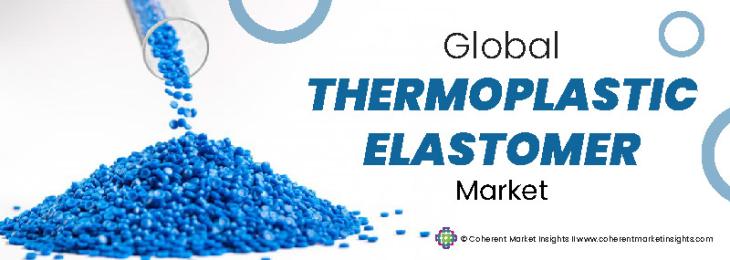 Top Companies - Thermoplastic Elastomer Industry