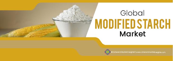 Prominent Companies - Modified Starch Industry
