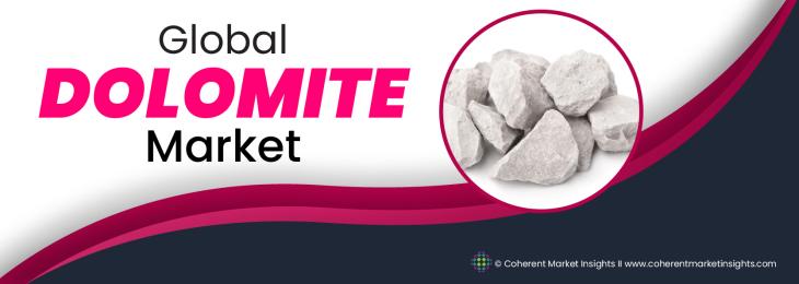 Prominent Players - Dolomite Industry