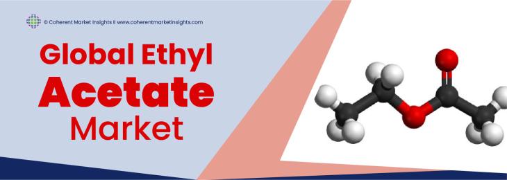 Key Companies - Ethyl Acetate Industry