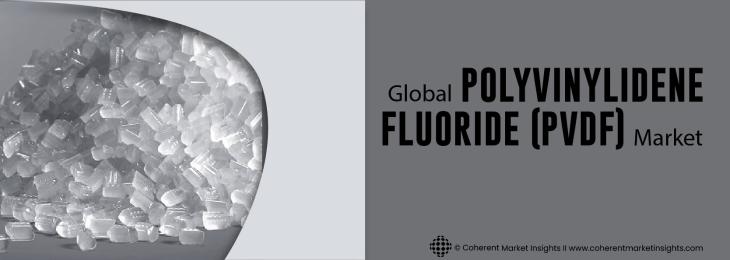 Prominent Companies - Polyvinylidene Fluoride (PVDF) Industry