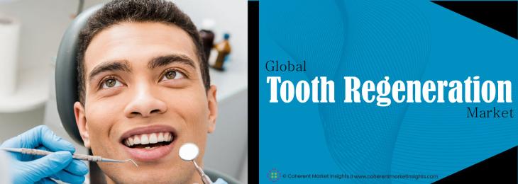 Leading Companies - Tooth Regeneration Industry