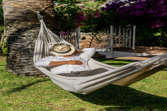 Hammock Market Trends: How Outdoor Recreation and Home Décor Are Driving Demand