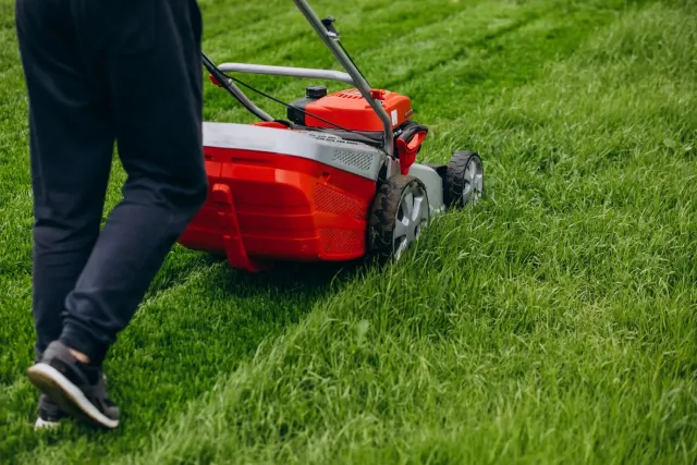How Seasonal Demand Patterns Influence Lawn Equipment Purchasing