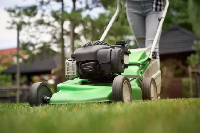 How E-Commerce and D2C Channels Are Changing Lawn Mower Sales Models