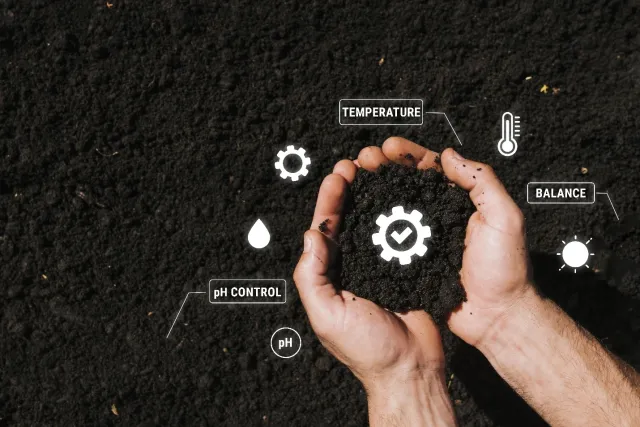 How Sustainability and Efficient Fertilizer Use Are Changing DAP Application Practices How Sustainability and Efficient Fertilizer Use Are Changing DAP Application Practices