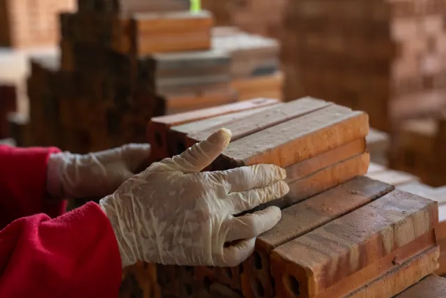 Why Softwood Remains the Most Widely Used Material in Wood Products