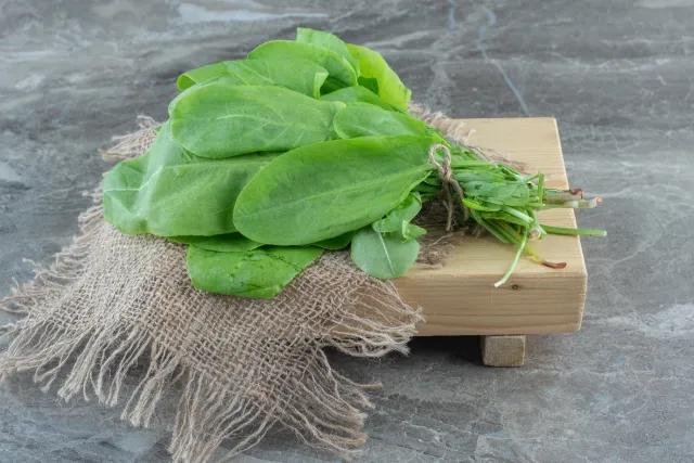 Why Fresh and Organic Spinach are Gaining Consumer Preference Why Fresh and Organic Spinach are Gaining Consumer Preference