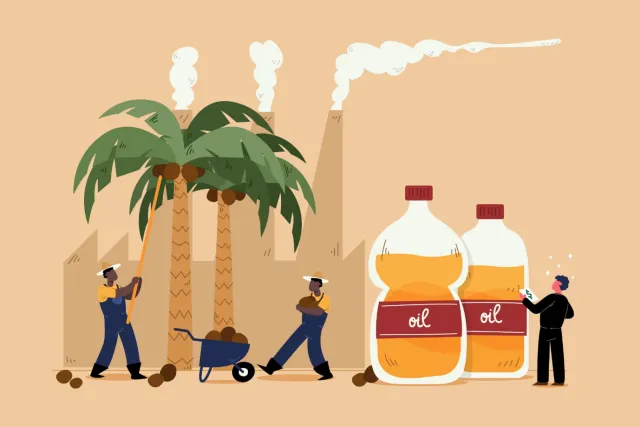 How Sustainable Palm Oil Initiatives Reshape Industry