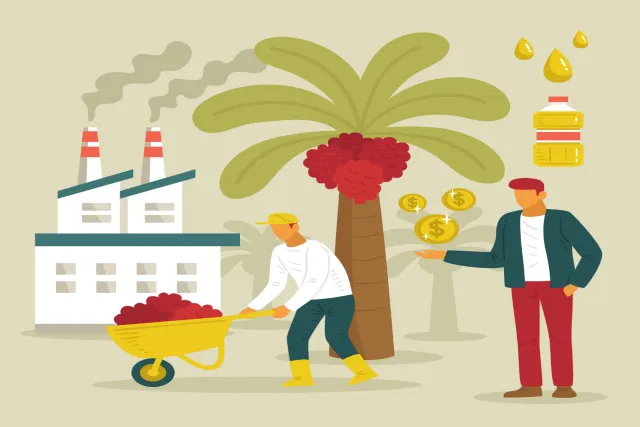 Why Emerging Economies are Driving Global Palm Oil Consumption