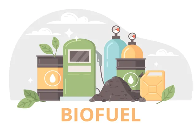 How Used Cooking Oil is Converted into Biodiesel and Renewable Energy
