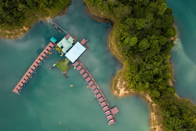 What Future Applications Could Drive the Evolution