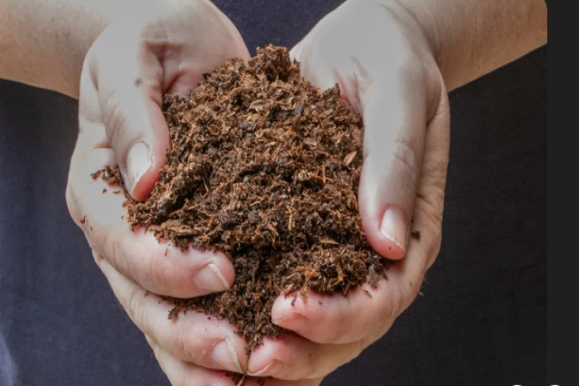 サントリーグループは工場廃棄物を使用して、ピートモスの代替となる新しい土壌素材「Teamoss」を開発