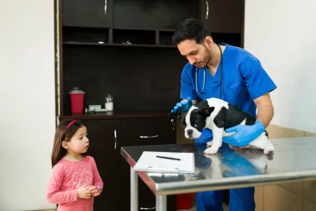 What Role Do Veterinary Clinics Play in Increasing Spay and Neuter Adoption