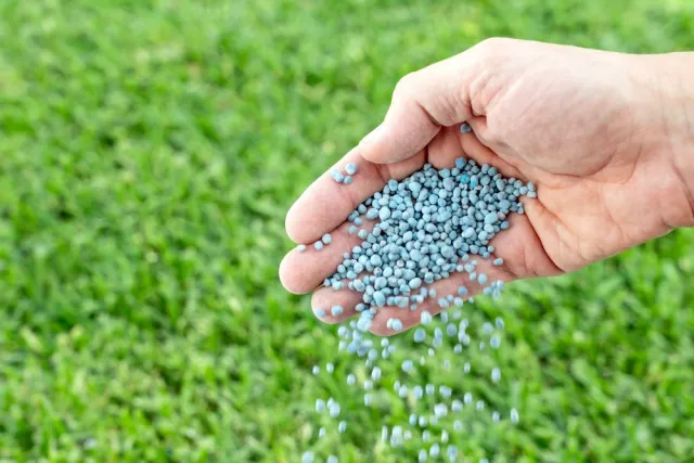 Why Environmental Regulations are Driving Innovation in Fertilizer Formulations