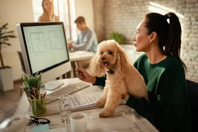What Future Innovations Could Shape the Pet Travel Services Industry 