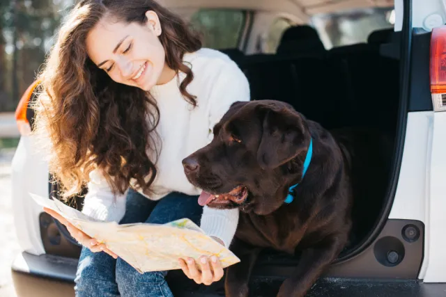 What is Driving the Growing Demand for Pet Travel Services Worldwide
