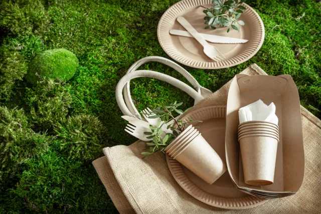 Why Recyclable and Biodegradable Packaging is Gaining Consumer Preference