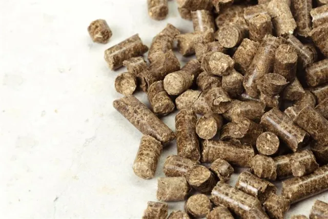What is Driving the Adoption of Biomass Briquettes as a Renewable Energy Source