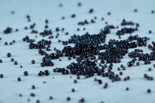 What Future Innovations Could Shape the Evolution of the Caviar Industry