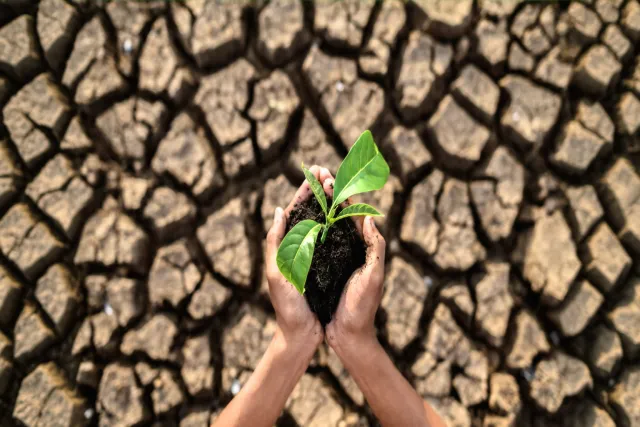 Climate Resilience Starts with Local Water Systems, Not Megaprojects How smaller, distributed infrastructure can help communities handle disruption