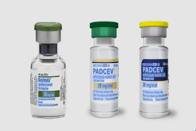 PADCEV™（エンホルツマブ ベドチン）とKeytruda®（ペムブロリズマブ）の併用療法、手術可能な膀胱がん患者への使用について欧州専門委員会が推奨