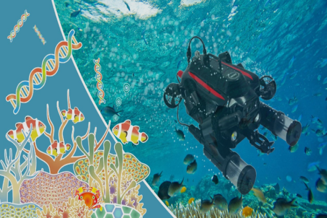 RoboNationが日本水中ドローン協会と提携し、日本でSeaPerchプログラムを開始