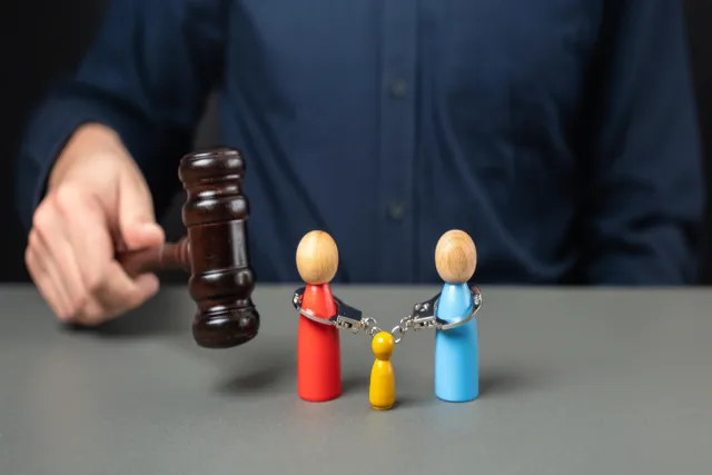 Litigation and Paternity Disputes
