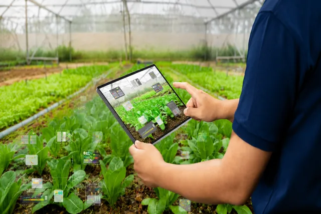 Agriculture Software Development Company Selection