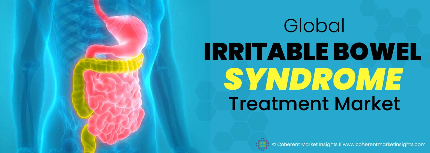 Top Players - Irritable Bowel Syndrome Treatment Industry