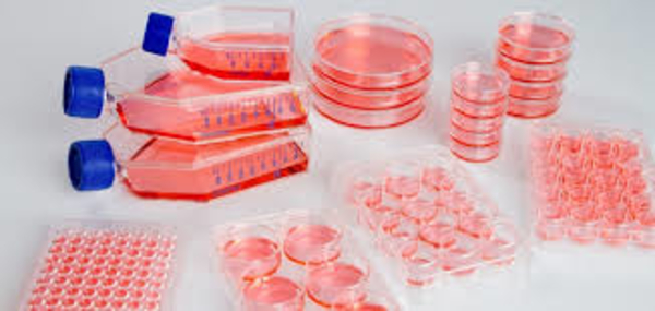 Cell culture market