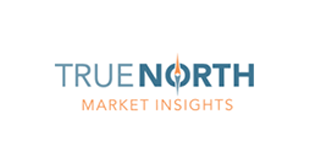 True-North-Market-Insights