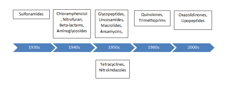 Antibacterial Drugs Market