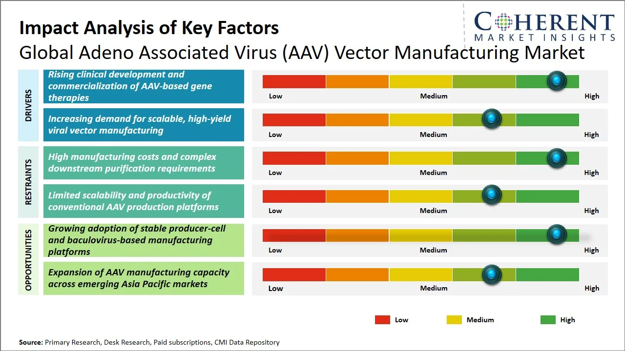 Adeno Associated Virus (AAV) Vector Manufacturing Market Key Factors Adeno Associated Virus (AAV) Vector Manufacturing Market Key Factors