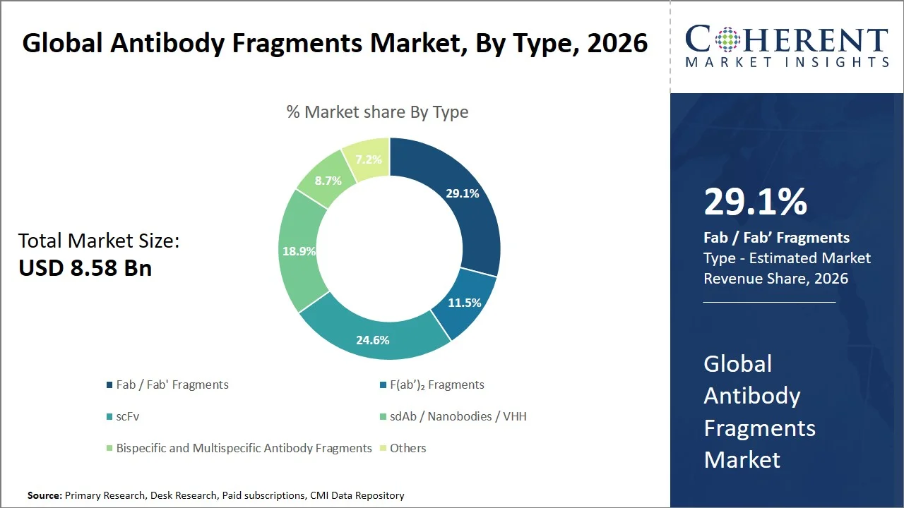 Antibody Fragments Market By Type Antibody Fragments Market By Type