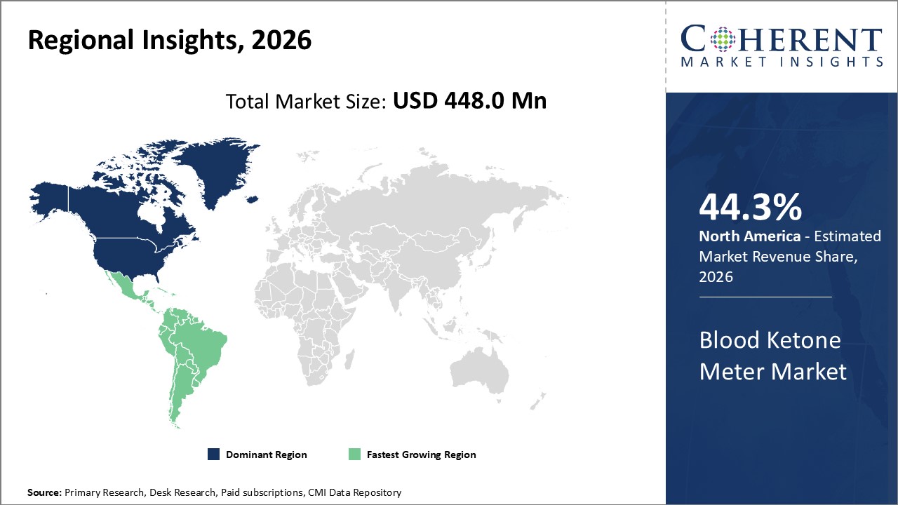 BLOOD KETONE METER MARKET