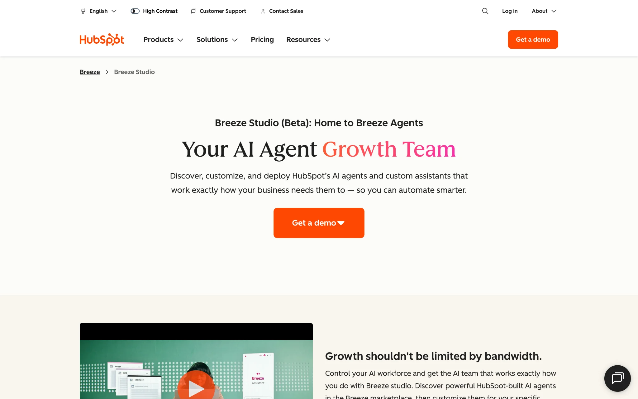Breeze Customer Agent