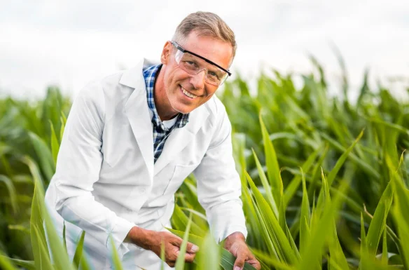 Calcium Demand in Animal Feed & Agriculture: Key Factors By Key Factors Boosting 