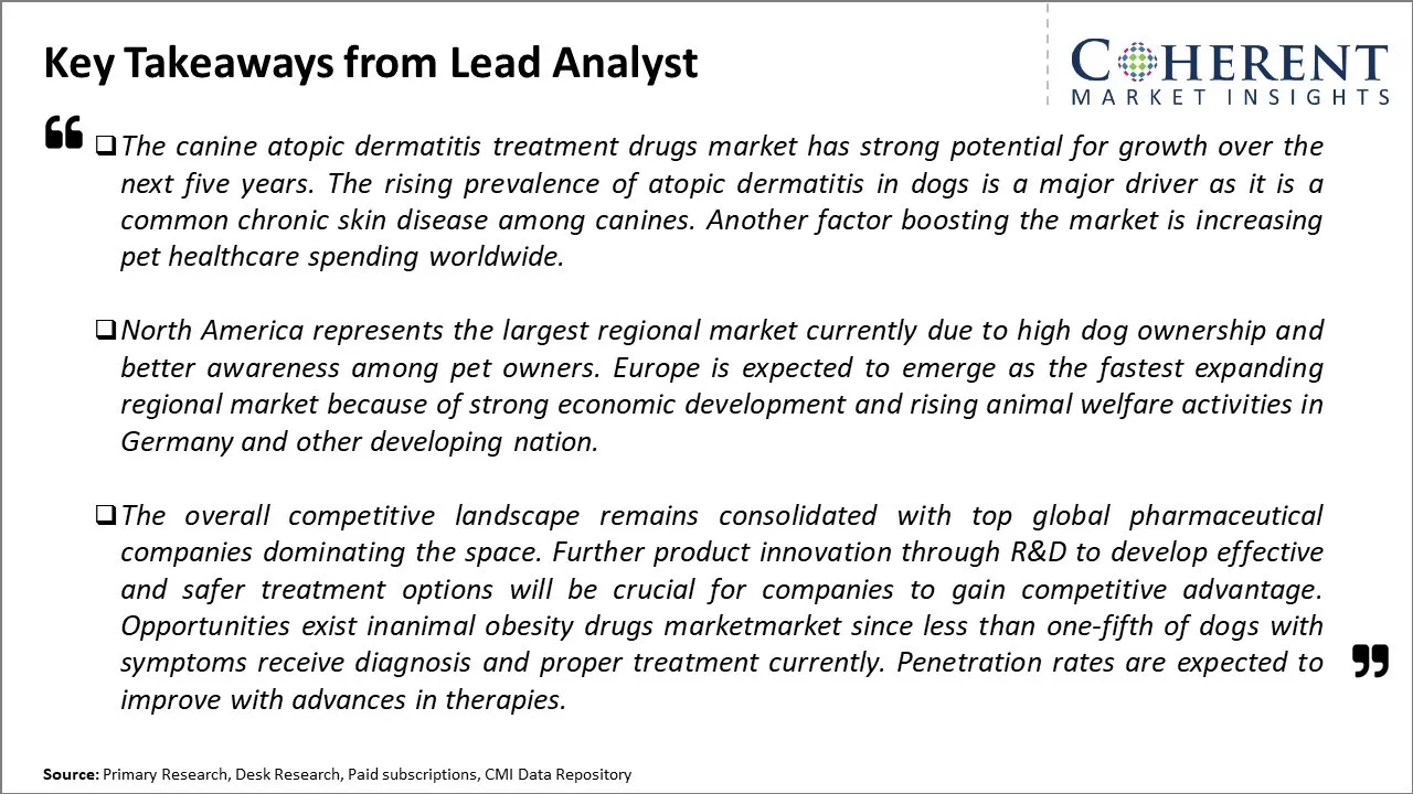 Canine Atopic Dermatitis Treatment Drugs Market Key Takeaways From Lead Analyst