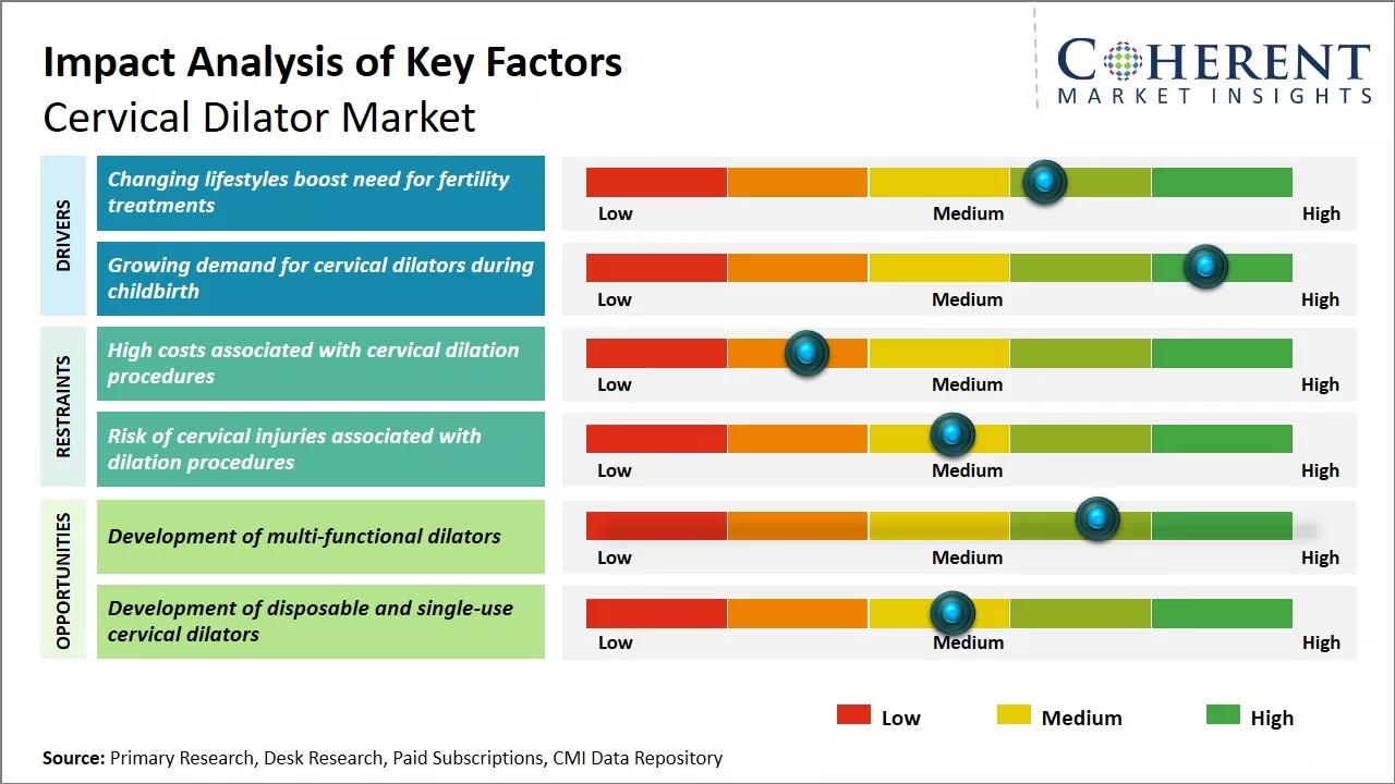 Global Cervical Dilator Market Key Factors