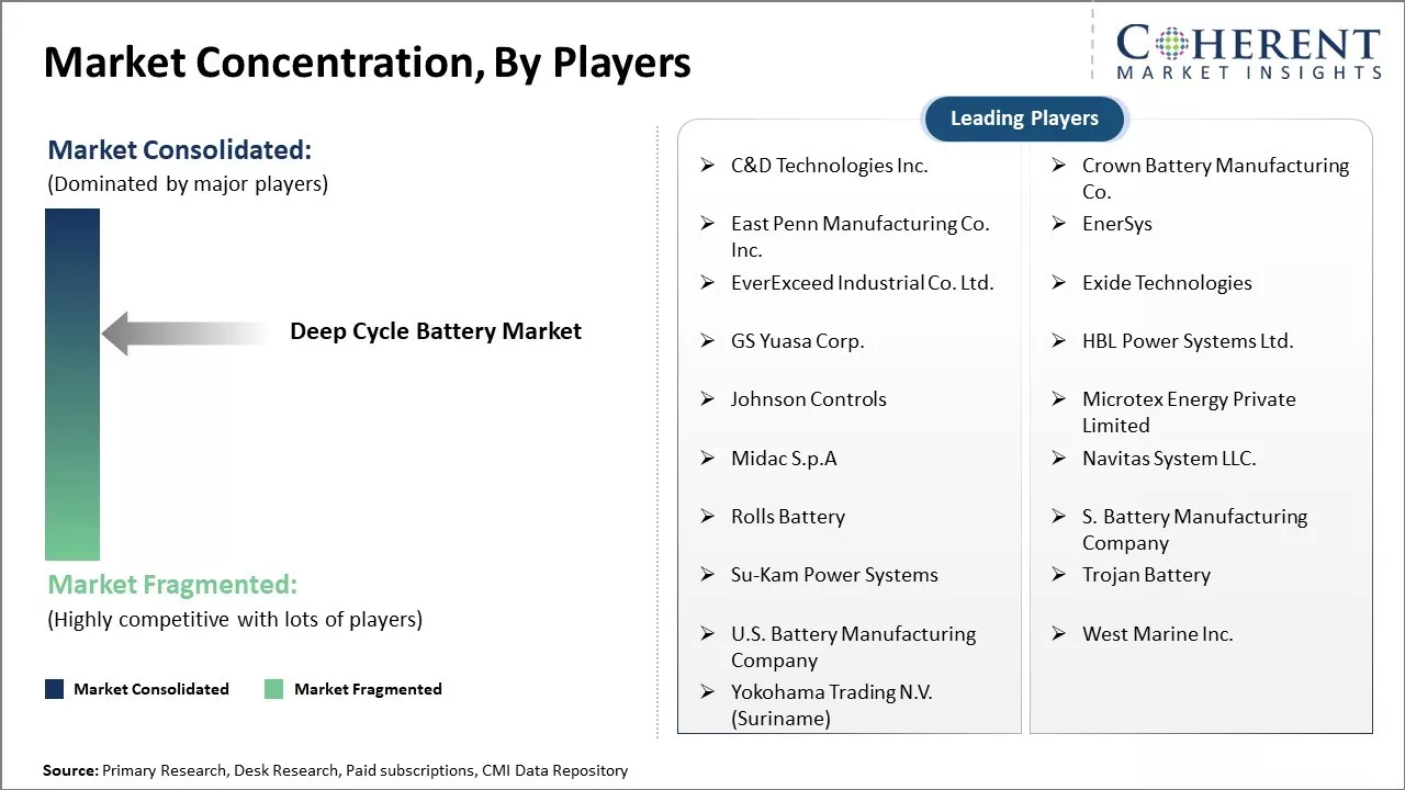Deep Cycle Battery Market Concentration By Players