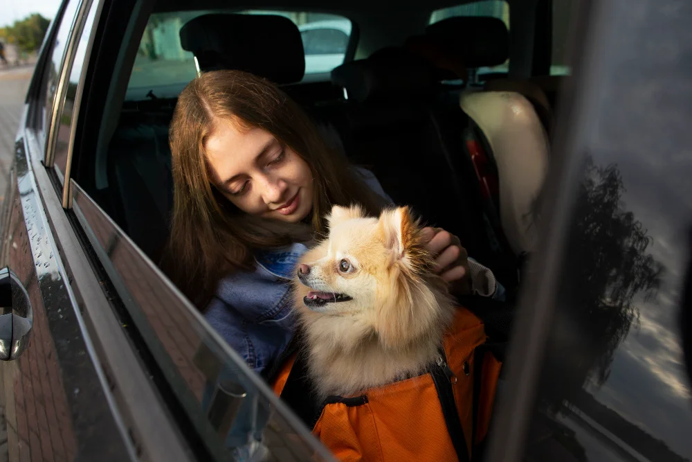 Drivers Behind Global Demand for Pet Travel Services By Moving and Traveling