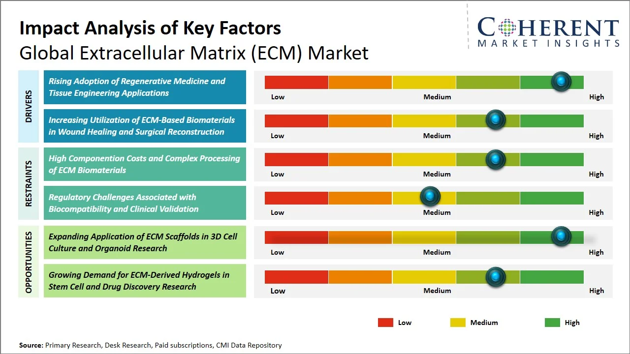 Extracellular Matrix (ECM) Market Key Factors Extracellular Matrix (ECM) Market Key Factors