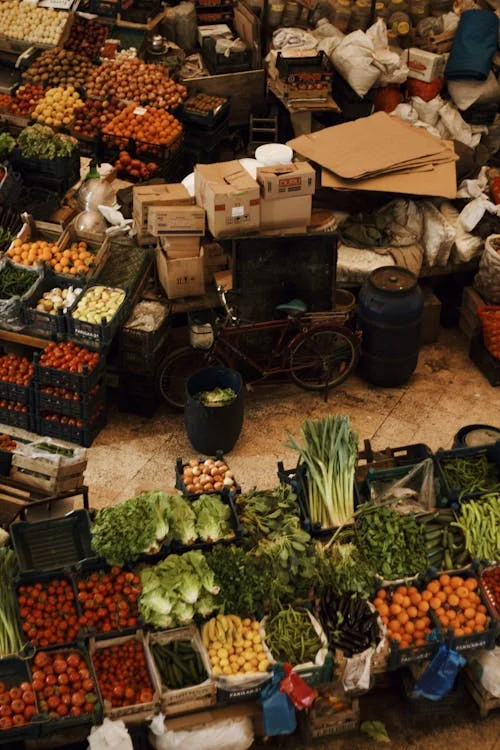 Factors Boosting Demand for Texture-Modified Foods in Healthcare By Plant-Based and Specialized Diets