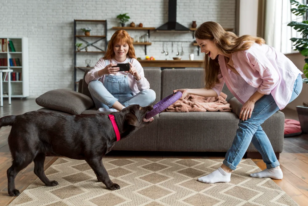 Factors Driving Demand for Pet-Friendly Accommodation By Higher Spending on Pet Care