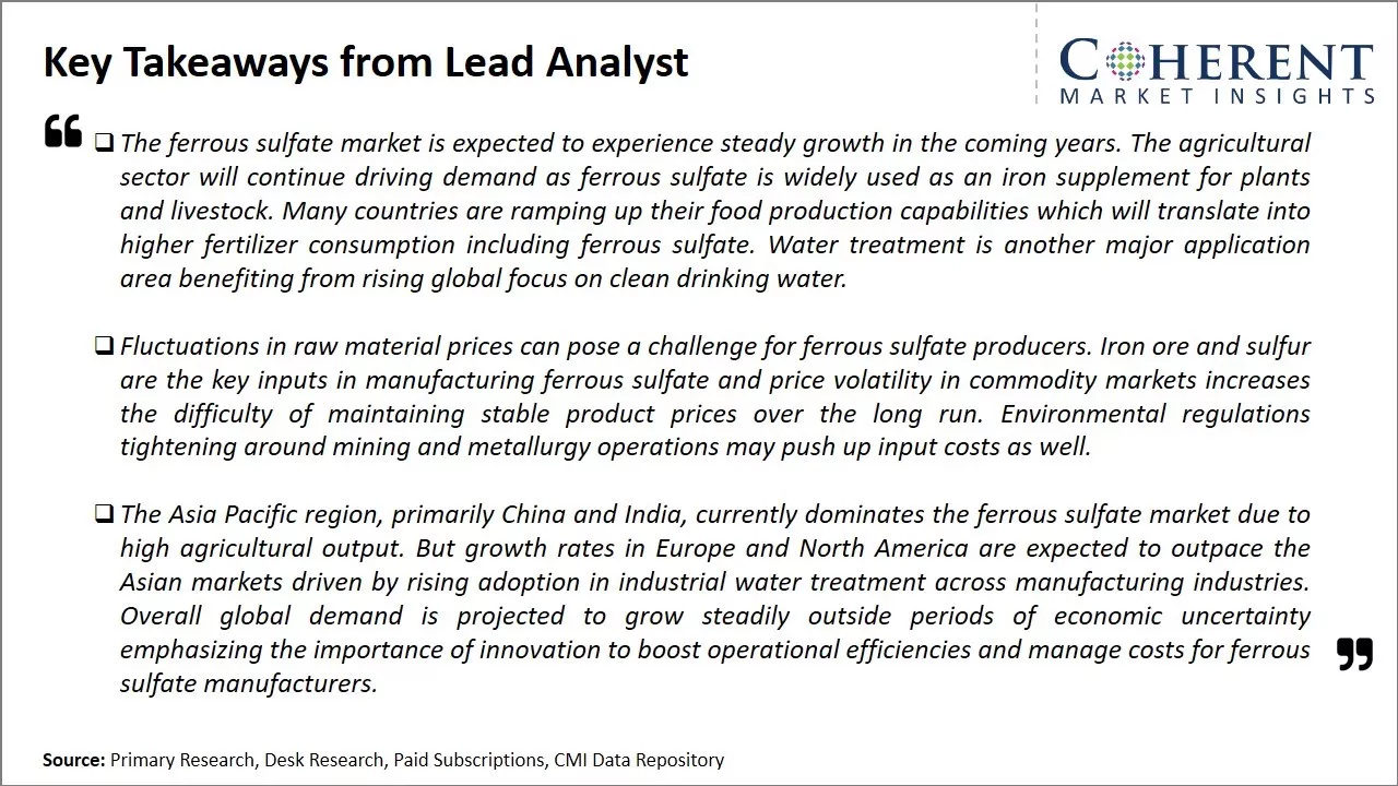 Ferrous Sulfate Market Key Takeaways From Lead Analyst