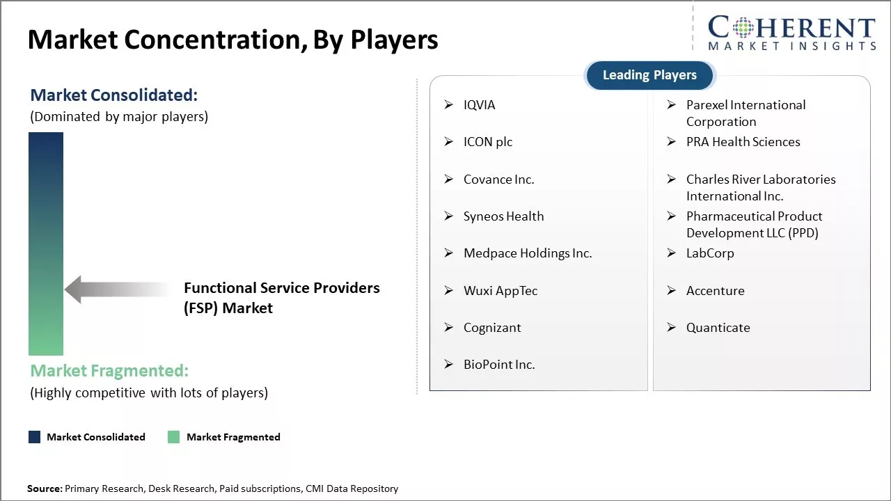 Functional Service Providers (FSP) Market Concentration By Players